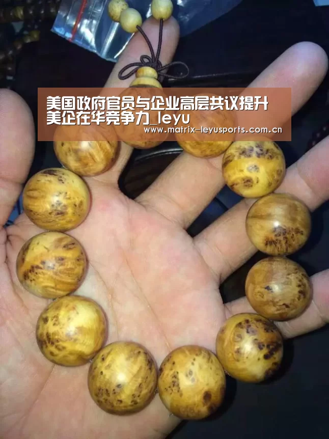 美国政府官员与企业高层共议提升美企在华竞争力_leyu(图1)