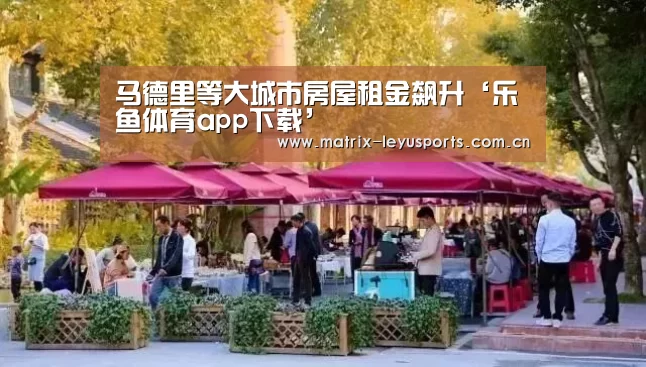 乐鱼