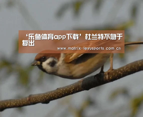乐鱼体育
